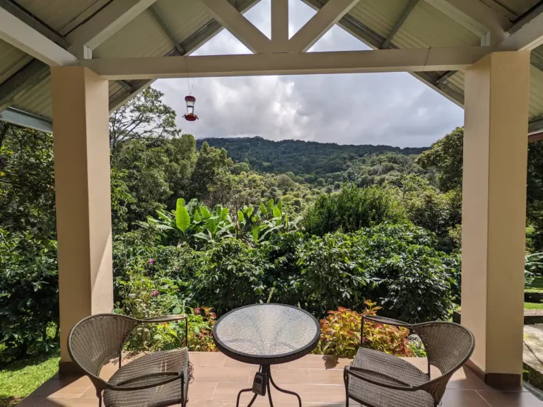 4243f47e d7ae 402d a655 86dee367bd5f